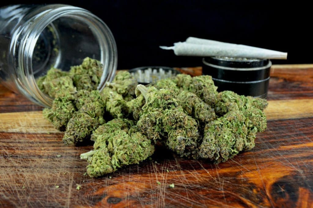 Feminisierte Cannabis Indica Samen: Qualität aus den besten Seedbanks