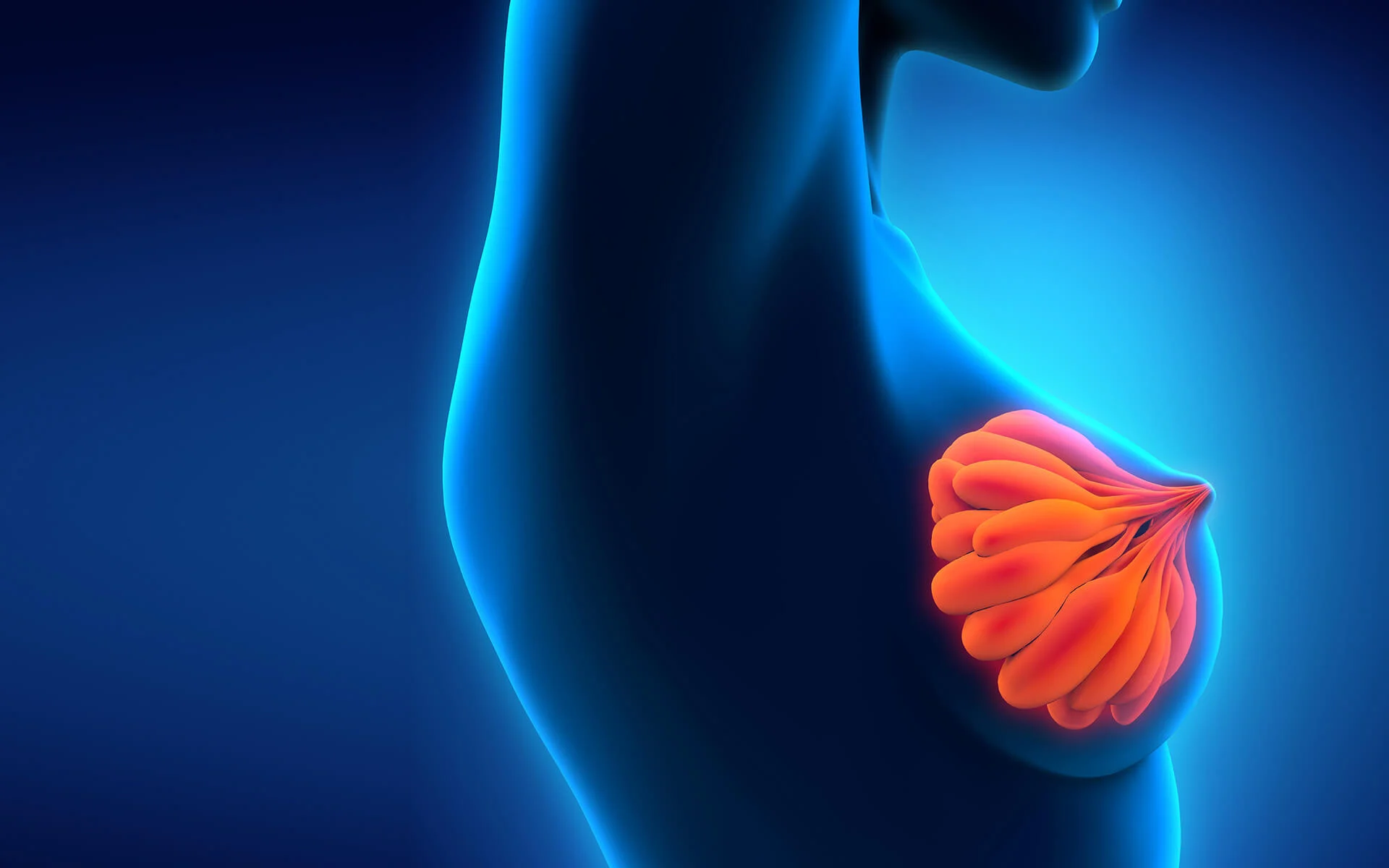 Autoaugmentation bei der Bruststraffung: Der Weg zu natürlicher Ästhetik ohne Implantate